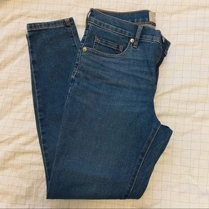 Everlane Authentic Stretch Mid-Rise Skinny Jeans in Deep Indigo Ankle Length